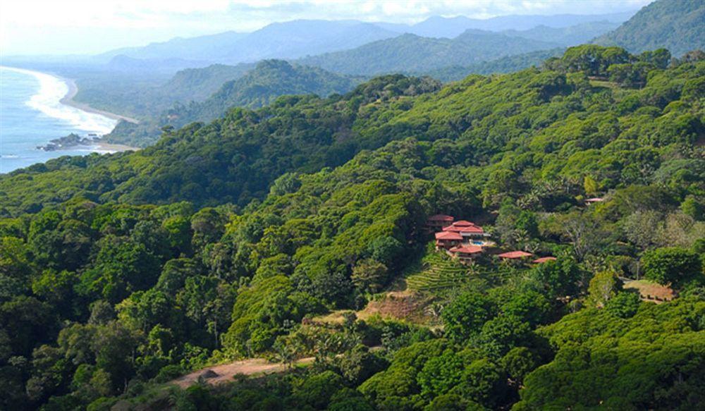 Villas Alturas Dominical Exteriér fotografie